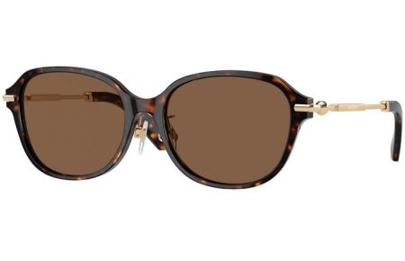 Gafas de Sol - Burberry - BE4429D - 300273  DARK HAVANA // DARK BROWN