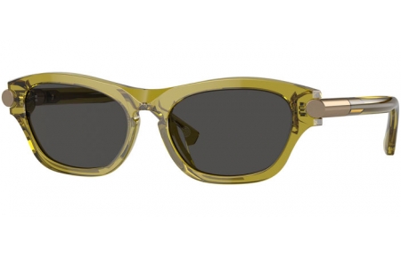 Gafas de Sol - Burberry - BE4430U - 411887  GREEN // DARK GREY