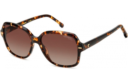 Gafas de Sol - Carrera - CARRERA 3028/S - WR9 (LA) HAVANA BROWN // BROWN GRADIENT POLARIZED