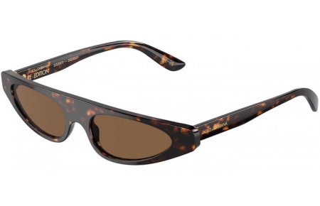 Gafas de Sol - Dolce & Gabbana - DG4442 - 502/73 HAVANA // DARK BROWN