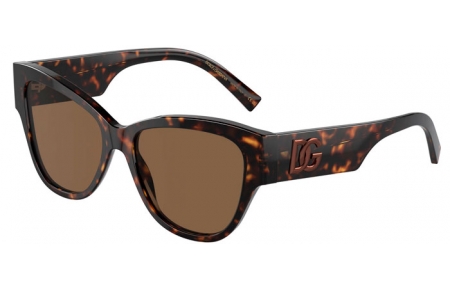 Gafas de Sol - Dolce & Gabbana - DG4449 - 502/73 HAVANA // DARK BROWN