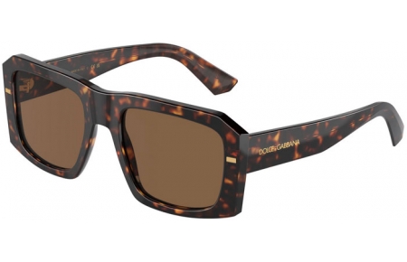 Gafas de Sol - Dolce & Gabbana - DG4430 - 502/73  HAVANA // DARK BROWN