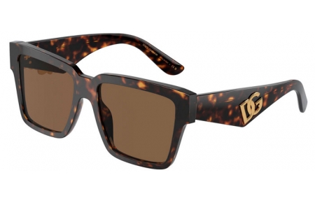 Gafas de Sol - Dolce & Gabbana - DG4436 - 502/73  HAVANA // DARK BROWN