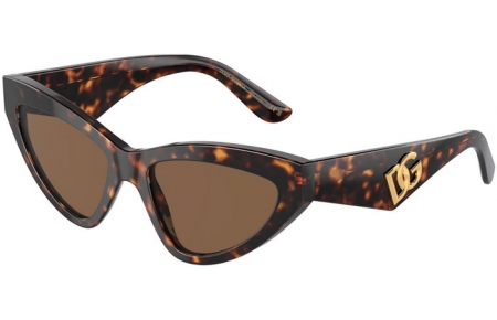 Gafas de Sol - Dolce & Gabbana - DG4439 - 502/73  HAVANA // DARK BROWN