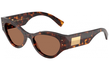 Gafas de Sol - Dolce & Gabbana - DG4480 - 502/73 HAVANA // DARK BROWN