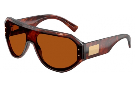 Gafas de Sol - Dolce & Gabbana - DG4481 - 322273  HAVANA DARK RED // DARK BROWN