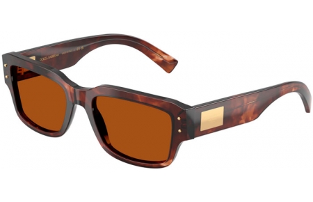 Gafas de Sol - Dolce & Gabbana - DG4483 - 322273  HAVANA DARK RED // DARK BROWN