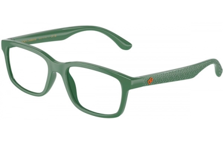 Gafas Junior - Dolce & Gabbana Junior - DX5097 - 3329 GREEN