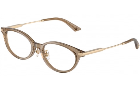 Monturas - Jimmy Choo - JC3029D - 5051  TRANSPARENT BROWN