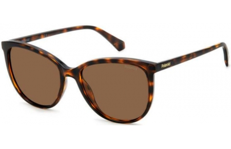 Gafas de Sol - Polaroid - PLD 4138/S - 086 (SP) HAVANA // BRONZE POLARIZED