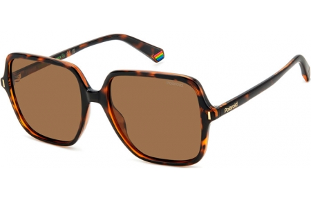 Gafas de Sol - Polaroid - PLD 6219/S - 086 (SP) DARK HAVANA // BRONZE POLARIZED