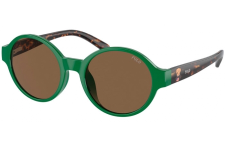 Gafas Junior - POLO Ralph Lauren Junior - PP9508U - 619273  SHINY GREEN // BROWN