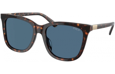 Gafas de Sol - POLO Ralph Lauren - PH4201U - 500380  SHINY DARK HAVANA // DARK BLUE