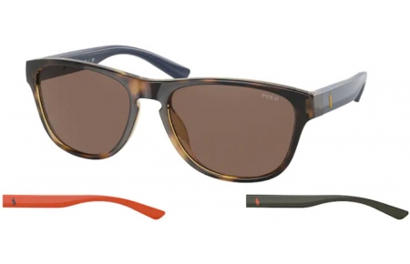 Gafas de Sol - POLO Ralph Lauren - PH4180U - 500373 SHINY HAVANA // BROWN