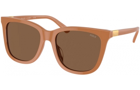 Gafas de Sol - POLO Ralph Lauren - PH4201U - 619673  SHINY BROWN // DARK BROWN