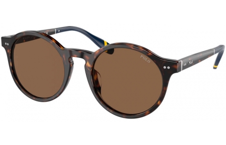 Gafas de Sol - POLO Ralph Lauren - PH4204U - 500373  SHINY DARK HAVANA // BROWN