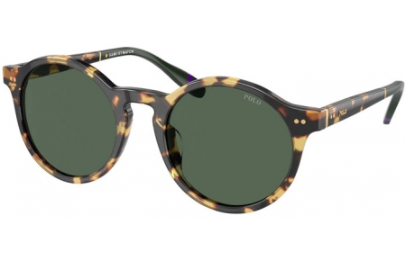 Gafas de Sol - POLO Ralph Lauren - PH4204U - 500471  SHINY TORTOISE BROWN // DARK GREEN