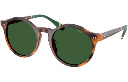 Gafas de Sol - POLO Ralph Lauren - PH4204U - 608971  SHINY HAVANA RED // BOTTLE GREEN