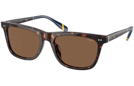 Gafas de Sol - POLO Ralph Lauren - PH4205U - 500373  SHINY DARK HAVANA // BROWN