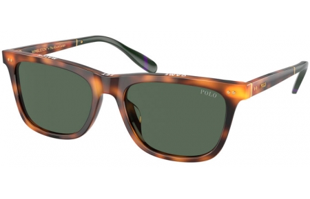 Gafas de Sol - POLO Ralph Lauren - PH4205U - 608971  SHINY HAVANA // DARK GREEN