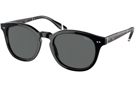 Gafas de Sol - POLO Ralph Lauren - PH4206 - 500187  SHINY BLACK // GREY