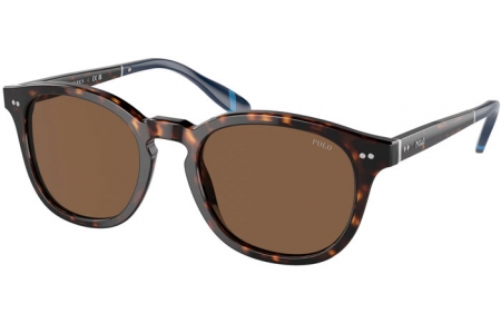 Gafas de Sol - POLO Ralph Lauren - PH4206 - 500373  SHINY DARK HAVANA // BROWN