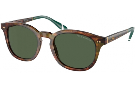 Gafas de Sol - POLO Ralph Lauren - PH4206 - 50179A  SHINY HAVANA TORTOISE // GREEN BOTTLE POLARIZED