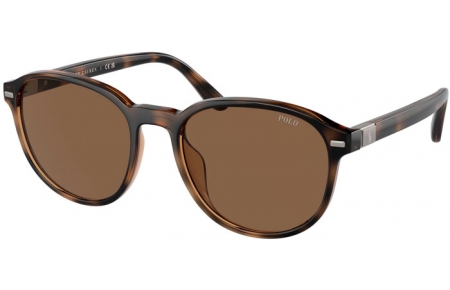 Gafas de Sol - POLO Ralph Lauren - PH4207U - 597473  SHINY HAVANA // BROWN