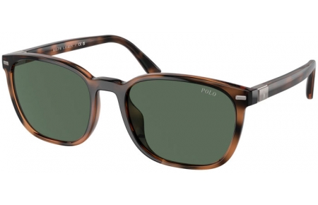 Gafas de Sol - POLO Ralph Lauren - PH4208U - 597471  SHINY HAVANA // GREEN BOTTLE