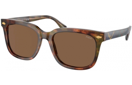 Gafas de Sol - POLO Ralph Lauren - PH4210 - 501773  SHINY HAVANA // BROWN