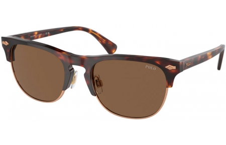 Gafas de Sol - POLO Ralph Lauren - PH4213 - 613773  SHINY TORTOISE BROWN // BROWN