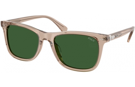 Gafas de Sol - POLO Ralph Lauren - PH4220U - 620171  SHINY TRANSPARENT DARK TAUPE // BOTTLE GREEN