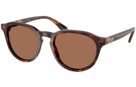 Gafas de Sol - POLO Ralph Lauren - PH4221 - 613773  SHINY BROWN TURTLE // DARK BROWN