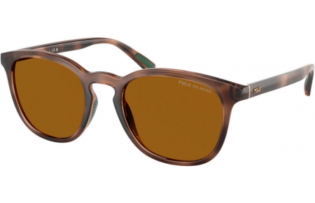 Gafas de Sol - POLO Ralph Lauren - PH4222U - 500383  SHINY DARK HAVANA // DARK BROWN POLARIZED