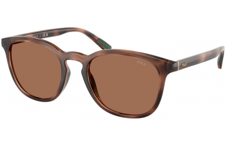 Gafas de Sol - POLO Ralph Lauren - PH4222U - 597473  SHINY DARK HAVANA // DARK BROWN