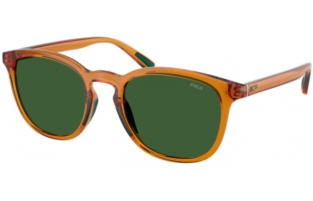 Gafas de Sol - POLO Ralph Lauren - PH4222U - 620971  SHINY TRANSPARENT BROWN HONEY // BOTTLE GREEN