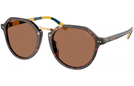 Gafas de Sol - POLO Ralph Lauren - PH4223U - 500373  SHINY DARK HAVANA // DARK BROWN