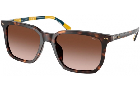 Gafas de Sol - POLO Ralph Lauren - PH4224U - 500313  SHINY DARK HAVANA // DARK BROWN GRADIENT