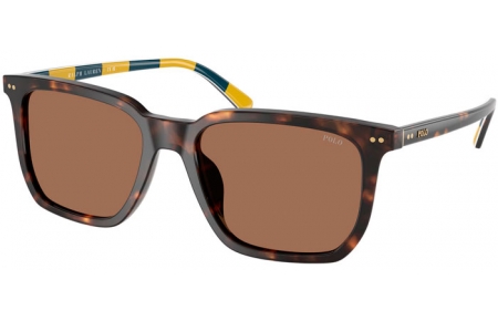 Gafas de Sol - POLO Ralph Lauren - PH4224U - 500373  SHINY DARK HAVANA // DARK BROWN