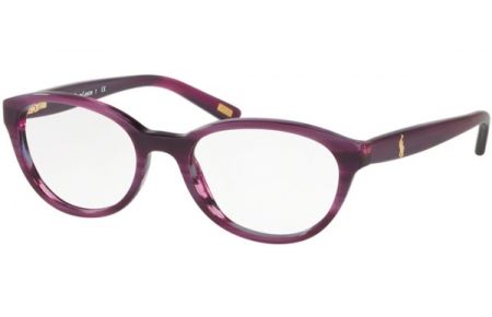 Gafas Junior - POLO Ralph Lauren Junior - PP8526 - 1592 PURPLE HORN