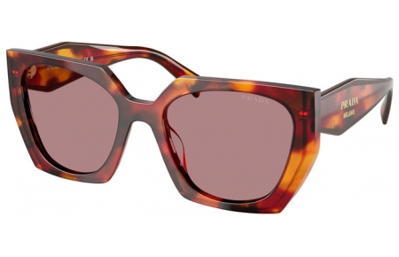 Gafas de Sol - Prada - SPR 15WS - 22A20I  TORTOISE POPPY // LIGHT PURPLE BROWN