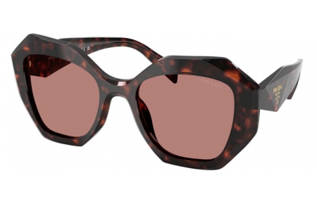 Gafas de Sol - Prada - SPR 16WS - 17N60B  TORTOISE ROOT // LIGHT BROWN