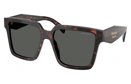 Gafas de Sol - Prada - SPR 24ZS - 17N40L  TORTOISE ROOT // DARK GREY