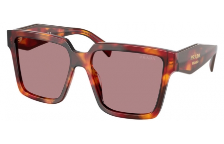 Gafas de Sol - Prada - SPR 24ZS - 22A20I  TORTOISE POPPY // BROWN LIGHT PURPLE