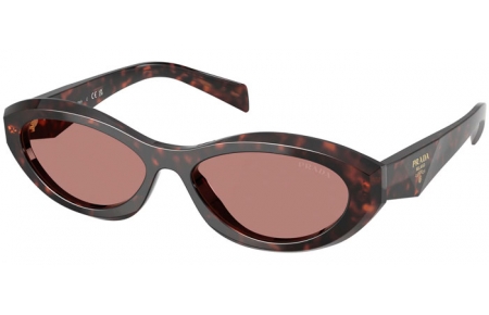 Gafas de Sol - Prada - SPR 26ZS - 17N60B  TORTOISE ROOT // LIGHT BROWN