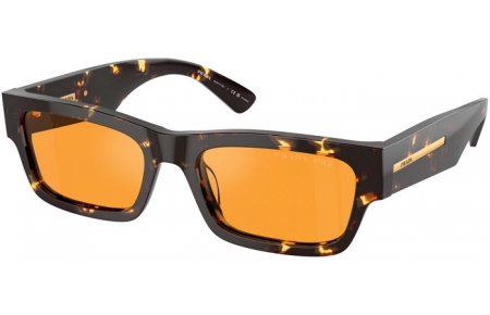 Gafas de Sol - Prada - SPR A03S - 16O20C  HAVANA BLACK YELLOW // YELLOW POLARIZED