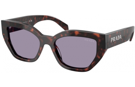 Gafas de Sol - Prada - SPR A09S - 17N03N  TORTOISE ROOT // GREY