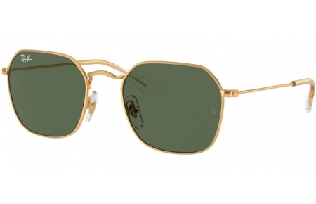 Gafas Junior - Ray-Ban® Junior Collection - RJ9594S - 223/71 ARISTA GOLD // DARK GREEN