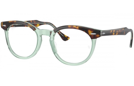 Monturas - Ray-Ban® - RX5598 EAGLEEYE - 8249  HAVANA ON GREEN TRANSPARENT