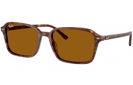 Gafas de Sol - Ray-Ban® - Ray-Ban® RB2231 RAIMOND - 141833  FANTASY BROWN TRANSPARENT // B-15 BROWN